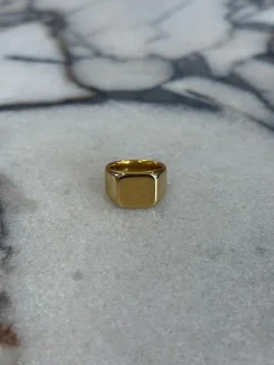 Bold Signet Ring Gold