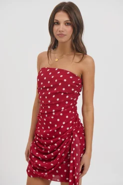 Charley Mini Dress Wine