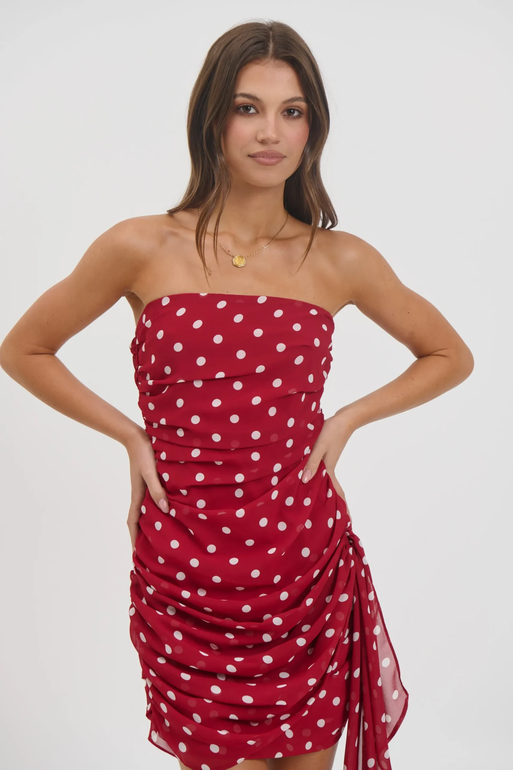 Charley Mini Dress Wine