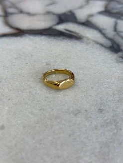 Oval Signet Ring Gold